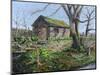 Stone Barn, Alport, Derbyshire, 2009-Trevor Neal-Mounted Giclee Print