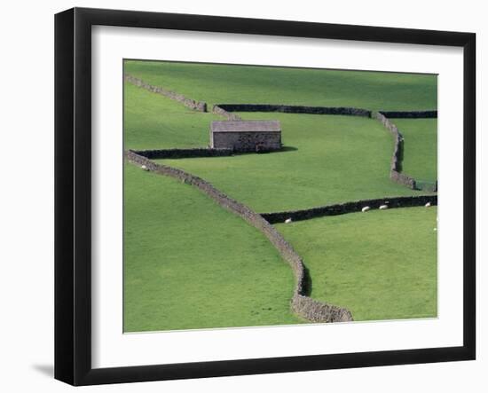Stone Barn and Dry Stone Walls, Gunnerside, Swaledale, Yorkshire, England, United Kingdom-Jean Brooks-Framed Photographic Print