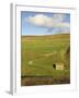 Stone Barn and Winding Track Near Keld, Yorkshire Dales National Park, Yorkshire, England-Neale Clarke-Framed Photographic Print