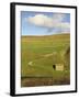 Stone Barn and Winding Track Near Keld, Yorkshire Dales National Park, Yorkshire, England-Neale Clarke-Framed Photographic Print