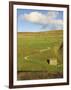 Stone Barn and Winding Track Near Keld, Yorkshire Dales National Park, Yorkshire, England-Neale Clarke-Framed Photographic Print