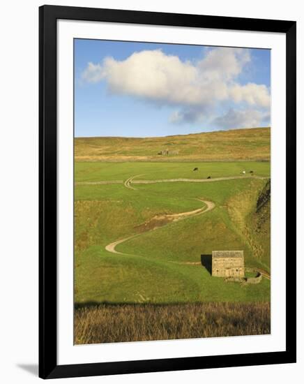 Stone Barn and Winding Track Near Keld, Yorkshire Dales National Park, Yorkshire, England-Neale Clarke-Framed Photographic Print