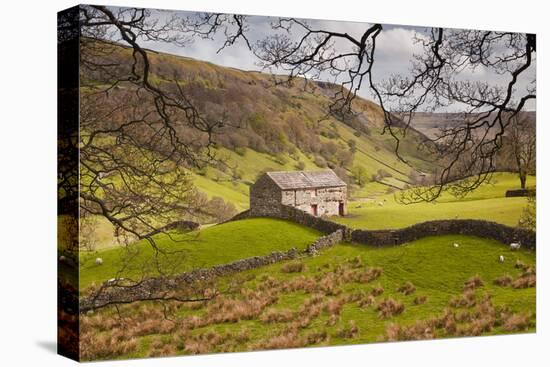 Stone Barn in the Swaledale Area of the Yorkshire Dales National Park-Julian Elliott-Stretched Canvas