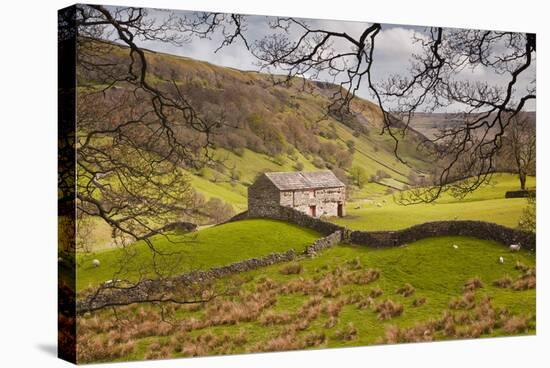 Stone Barn in the Swaledale Area of the Yorkshire Dales National Park-Julian Elliott-Stretched Canvas