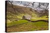 Stone Barn in the Swaledale Area of the Yorkshire Dales National Park-Julian Elliott-Stretched Canvas