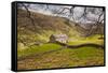 Stone Barn in the Swaledale Area of the Yorkshire Dales National Park-Julian Elliott-Framed Stretched Canvas