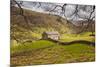 Stone Barn in the Swaledale Area of the Yorkshire Dales National Park-Julian Elliott-Mounted Premium Photographic Print
