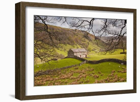 Stone Barn in the Swaledale Area of the Yorkshire Dales National Park-Julian Elliott-Framed Photographic Print