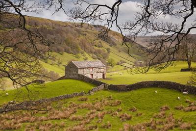https://imgc.allpostersimages.com/img/posters/stone-barn-in-the-swaledale-area-of-the-yorkshire-dales-national-park_u-L-PNEZY10.jpg?artPerspective=n