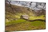 Stone Barn in the Swaledale Area of the Yorkshire Dales National Park-Julian Elliott-Mounted Photographic Print