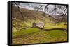 Stone Barn in the Swaledale Area of the Yorkshire Dales National Park-Julian Elliott-Framed Stretched Canvas