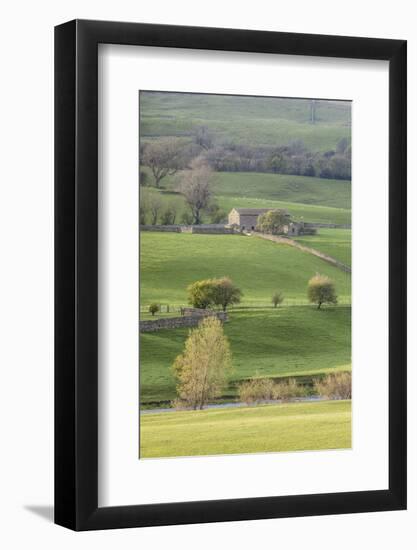 Stone barn in the Yorkshire Dales National Park, Yorkshire, England, United Kingdom, Europe-Julian Elliott-Framed Photographic Print
