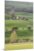 Stone barn in the Yorkshire Dales National Park, Yorkshire, England, United Kingdom, Europe-Julian Elliott-Mounted Premium Photographic Print