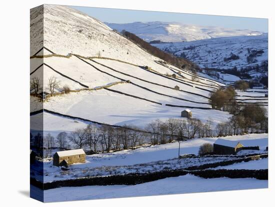 Stone Barns in a Winter Landscape, Swaledale, Yorkshire Dales National Park, North Yorkshire, Engla-Peter Richardson-Stretched Canvas