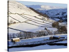 Stone Barns in a Winter Landscape, Swaledale, Yorkshire Dales National Park, North Yorkshire, Engla-Peter Richardson-Stretched Canvas