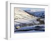 Stone Barns in a Winter Landscape, Swaledale, Yorkshire Dales National Park, North Yorkshire, Engla-Peter Richardson-Framed Photographic Print