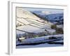 Stone Barns in a Winter Landscape, Swaledale, Yorkshire Dales National Park, North Yorkshire, Engla-Peter Richardson-Framed Photographic Print