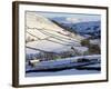 Stone Barns in a Winter Landscape, Swaledale, Yorkshire Dales National Park, North Yorkshire, Engla-Peter Richardson-Framed Photographic Print