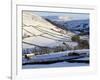 Stone Barns in a Winter Landscape, Swaledale, Yorkshire Dales National Park, North Yorkshire, Engla-Peter Richardson-Framed Photographic Print