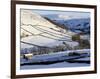 Stone Barns in a Winter Landscape, Swaledale, Yorkshire Dales National Park, North Yorkshire, Engla-Peter Richardson-Framed Photographic Print