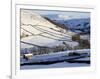 Stone Barns in a Winter Landscape, Swaledale, Yorkshire Dales National Park, North Yorkshire, Engla-Peter Richardson-Framed Photographic Print