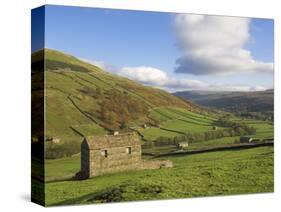 Stone Barns in Swaledale, Near Keld, Yorkshire Dales National Park, Yorkshire, England, UK-Neale Clarke-Stretched Canvas