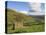 Stone Barns in Swaledale, Near Keld, Yorkshire Dales National Park, Yorkshire, England, UK-Neale Clarke-Stretched Canvas