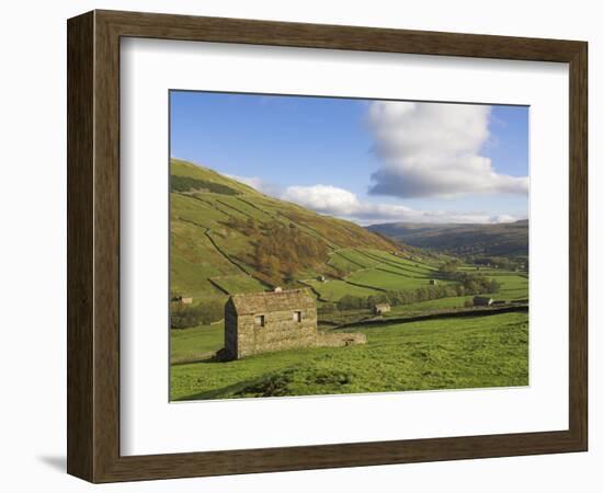 Stone Barns in Swaledale, Near Keld, Yorkshire Dales National Park, Yorkshire, England, UK-Neale Clarke-Framed Photographic Print