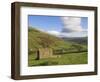 Stone Barns in Swaledale, Near Keld, Yorkshire Dales National Park, Yorkshire, England, UK-Neale Clarke-Framed Photographic Print