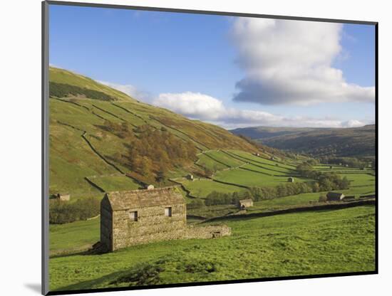 Stone Barns in Swaledale, Near Keld, Yorkshire Dales National Park, Yorkshire, England, UK-Neale Clarke-Mounted Photographic Print