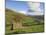 Stone Barns in Swaledale, Near Keld, Yorkshire Dales National Park, Yorkshire, England, UK-Neale Clarke-Mounted Photographic Print