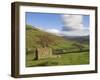 Stone Barns in Swaledale, Near Keld, Yorkshire Dales National Park, Yorkshire, England, UK-Neale Clarke-Framed Photographic Print