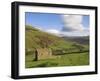 Stone Barns in Swaledale, Near Keld, Yorkshire Dales National Park, Yorkshire, England, UK-Neale Clarke-Framed Photographic Print