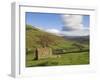 Stone Barns in Swaledale, Near Keld, Yorkshire Dales National Park, Yorkshire, England, UK-Neale Clarke-Framed Photographic Print