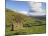 Stone Barns in Swaledale, Near Keld, Yorkshire Dales National Park, Yorkshire, England, UK-Neale Clarke-Mounted Photographic Print