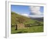 Stone Barns in Swaledale, Near Keld, Yorkshire Dales National Park, Yorkshire, England, UK-Neale Clarke-Framed Photographic Print