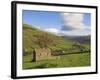 Stone Barns in Swaledale, Near Keld, Yorkshire Dales National Park, Yorkshire, England, UK-Neale Clarke-Framed Photographic Print