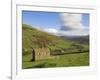 Stone Barns in Swaledale, Near Keld, Yorkshire Dales National Park, Yorkshire, England, UK-Neale Clarke-Framed Photographic Print