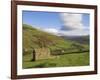 Stone Barns in Swaledale, Near Keld, Yorkshire Dales National Park, Yorkshire, England, UK-Neale Clarke-Framed Photographic Print