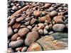 Stone beach along Park Loop Road, Acadia National Park, Maine, USA-null-Mounted Photographic Print