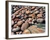 Stone beach along Park Loop Road, Acadia National Park, Maine, USA-null-Framed Photographic Print