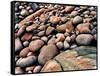 Stone beach along Park Loop Road, Acadia National Park, Maine, USA-null-Framed Stretched Canvas