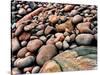 Stone beach along Park Loop Road, Acadia National Park, Maine, USA-null-Stretched Canvas