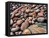 Stone beach along Park Loop Road, Acadia National Park, Maine, USA-null-Framed Stretched Canvas