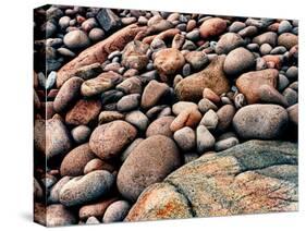 Stone beach along Park Loop Road, Acadia National Park, Maine, USA-null-Stretched Canvas