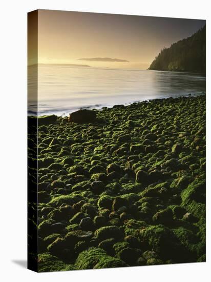 Stone beach at low tide, Orcas Island, Washington, USA-Charles Gurche-Stretched Canvas