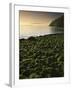 Stone beach at low tide, Orcas Island, Washington, USA-Charles Gurche-Framed Premium Photographic Print