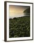 Stone beach at low tide, Orcas Island, Washington, USA-Charles Gurche-Framed Premium Photographic Print