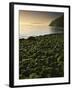 Stone beach at low tide, Orcas Island, Washington, USA-Charles Gurche-Framed Premium Photographic Print