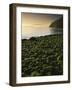 Stone beach at low tide, Orcas Island, Washington, USA-Charles Gurche-Framed Photographic Print